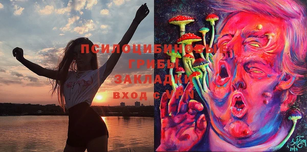 спайс Алзамай